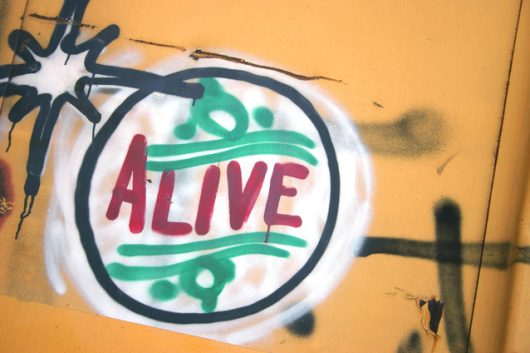Ask what makes you come alive