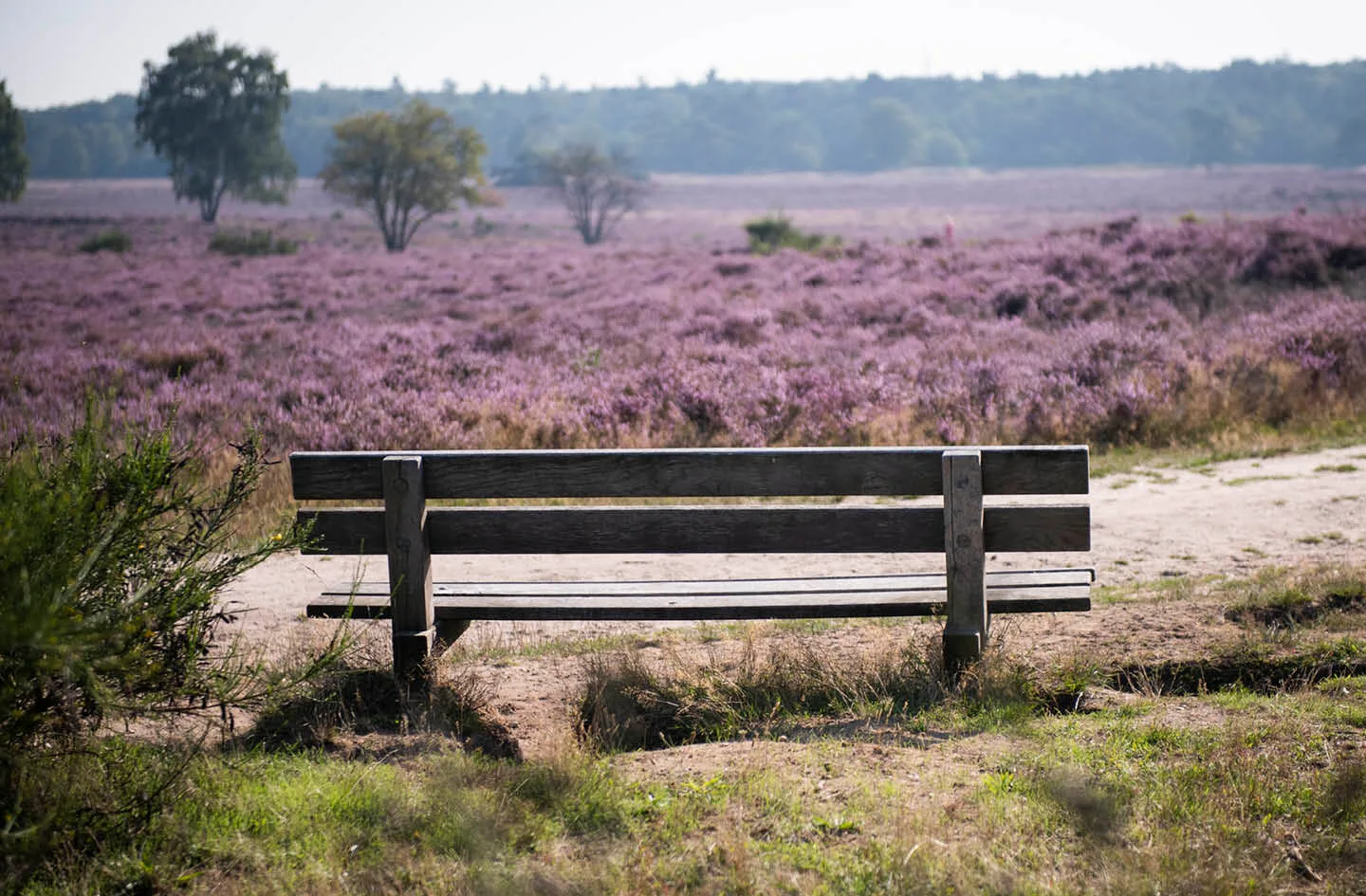 Solo Bezinningstocht