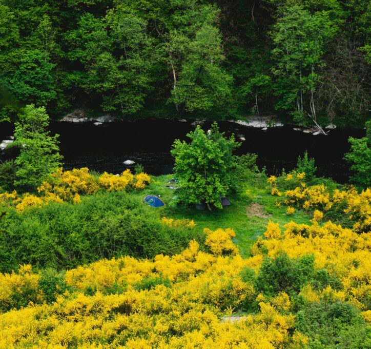 Ardennen