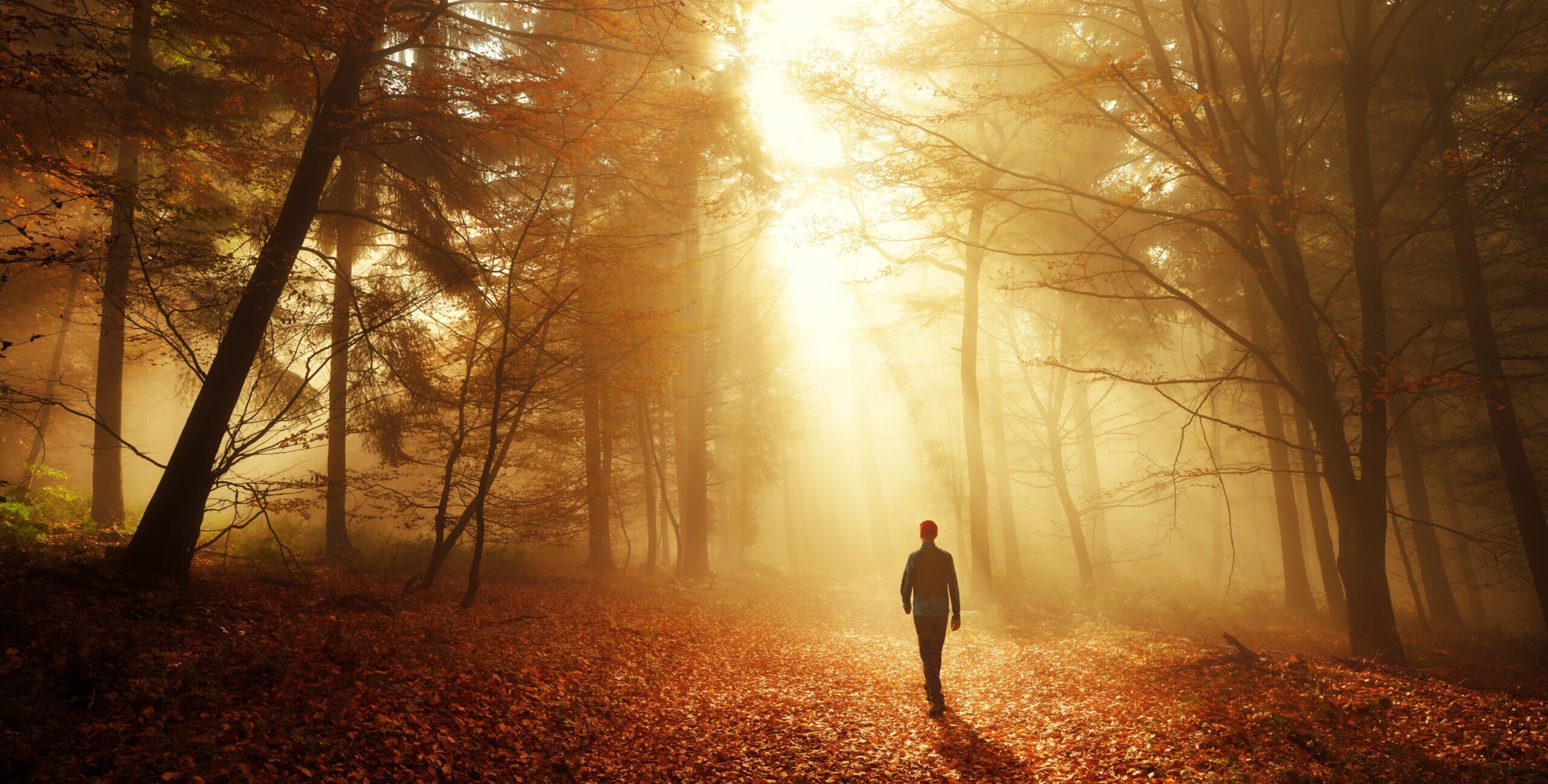 Hier ben ik, hier sta ik