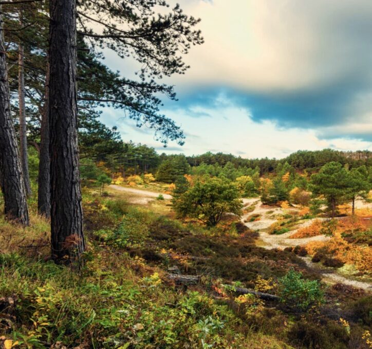 De stem van je ziel </br>3-daagse
