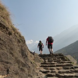 Online Informatieavond Bezinningstochten